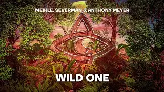 Meikle, Severman & Anthony Meyer - Wild One