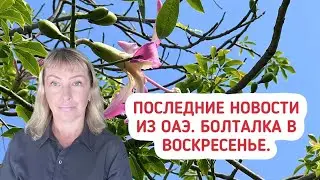 Последние новости из ОАЭ. Болталка в воскресенье.