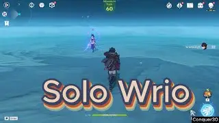 Solo Wriothesley C6 R1 Vs Raiden Genshin impact