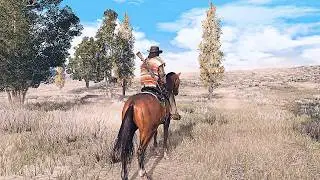RDR 1 PC - Photorealistic VISION ReShade For Reality Redemption [DOWNLOADLINK] V0.1