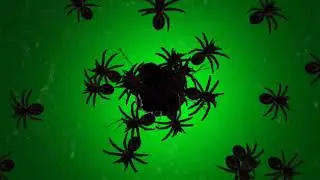 spookey spiders green screen effects