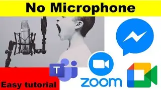 No Microphone on Zoom, Microsoft Teams, Facebook Messenger, Google meet | How to fix in Windows 10?