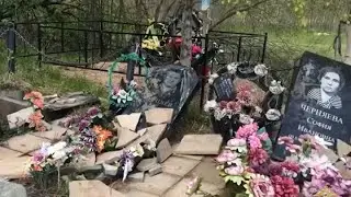 Надругались над покойниками в Вологодской области Новости 20 мая 2024 г.