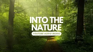 YOUTUBE AUDIO CALM VIBES MUSIC