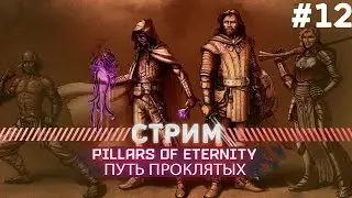 Pillars of Eternity ПУТЬ ПРОКЛЯТЫХ #12