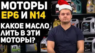 Какое моторное масло лить в двигатели EP6 и N14? Последний выпуск в этом году...