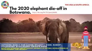 The 2020 elephant die off in Botswana - #science  #news  #nature #research  #botswana