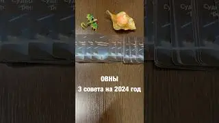 Овны: 3 совета на 2024 год.