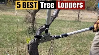 Best Tree Loppers of 2024