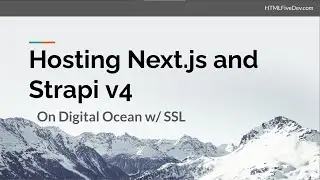 Hosting Next.js & Strapi v4 + Plesk + SSL (https) + DNS + Nginx + Shell Script Automation