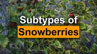 Skyrim Mod: Subtypes of Snowberries - Base Object Swapper