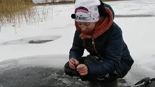 Ловим окуня по первому льду на Селигере