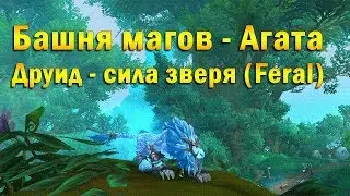 Башня магов. Агата. Друид - сила зверя (Feral). WOW: Legion