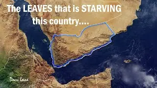 How these popular leaves is starving Yemen