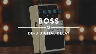 Boss DD-3 Digital Delay | Reverb Demo Video