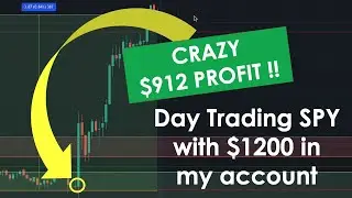 How a Beginner Can Make More Than $100 Daily Profits Trading SPY (Live Option Tips)