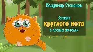 Загадки о животных | Загадки о лесных жителях 🐾 Владимир Степанов стихи про КРУГЛОГО КОТА