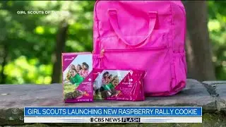 Girl Scouts release new cookie, Raspberry Rally