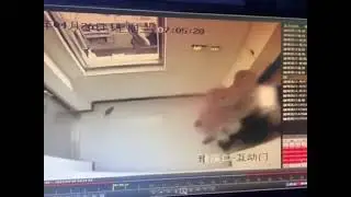 With a Rat in the Elevator