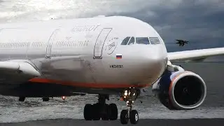 Полет на самолете Airbus A330-300 Аэрофлот А330