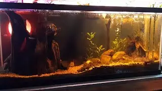 Lord of the Rings Aquascape on an Extremely Low Budget