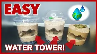 DIY MILK TEA CUP ANT FARM | D colony