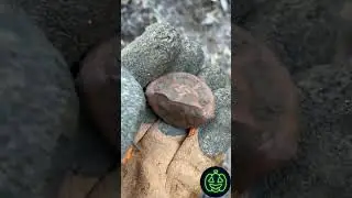 Поиск с металлоискательем!!!