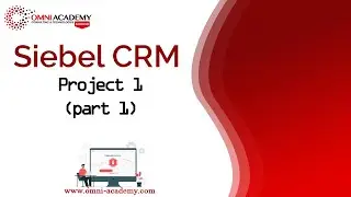 Siebel CRM - Project 1 (part 1) (Service Requests - Complaint Organizations) FREE Course Workshop