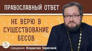 НЕ ВЕРЮ в существование БЕСОВ.  Священник Владислав Береговой