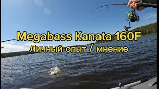 Мегабасс Каната. Мой опыт, мнение, вывод.