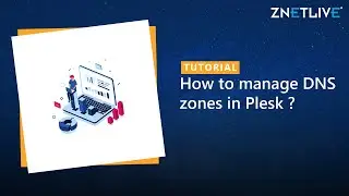 How to manage DNS zones in Plesk?