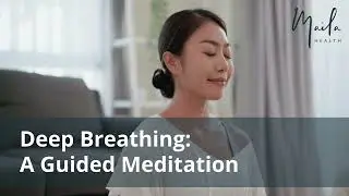 Deep Breathing | 16-Minute Guided Meditation