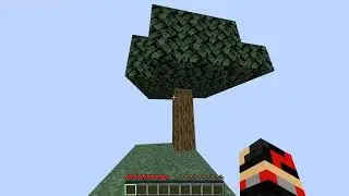 HOW TO START SKYBLOCK IN 2022