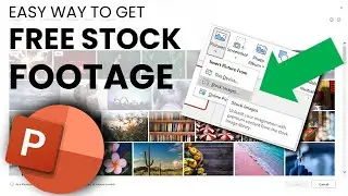 How to Get Stock Images in PowerPoint | 1 Minute Tutorial