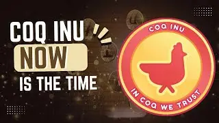 COQ INU IS DOING BIG GIVEAWAY COQ SET TO GO UP