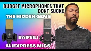 Budget Mic comparison BAIFEILI C414 vs V5 @LJean1