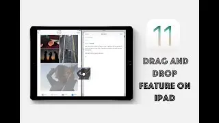 iOS 11 Drag and Drop Features on iPad