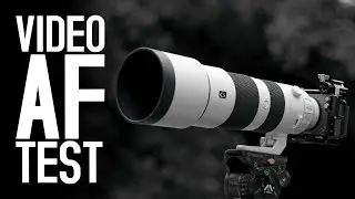 Sony 200-600mm F5,6-6,3 G OSS - Video Autofocus Test (FX3)