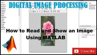 How to Read and Show of an Image by  Using MATLAB