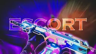 ESCORT 💎 (Valorant Montage 84 ping)