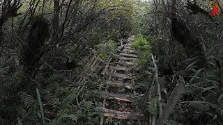 Не знаю зачем я туда пошёл... / поиск новых мест для копа