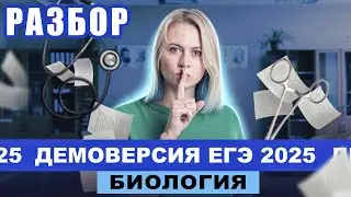 РАЗБОР ДЕМОВЕРСИИ ЕГЭ 2025 | Биология | Ксения Напольская