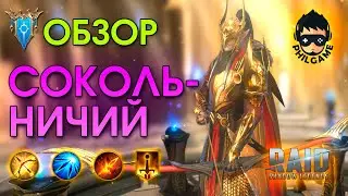 Сокольничий обзор героя | RAID: Shadow Legends