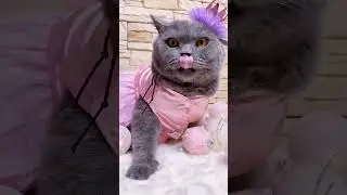 Это - елка 🎄, это - я 🎄 