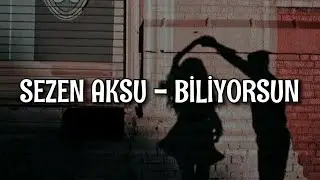 Sezen Aksu - Biliyorsun (Lyrics/Şarkı Sözleri)