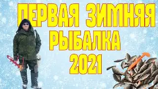 Первая зимняя рыбалка | Попал на жор | Ловим крупного окуня 2021-2022