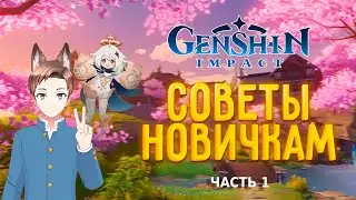 Это важно знать! Советы новичкам | Genshin Impact