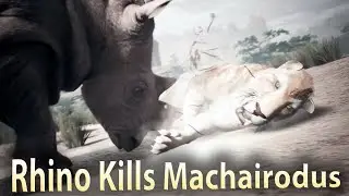 Rhinoceros Kills Machairodus - Ancestors The Humankind Odyssey