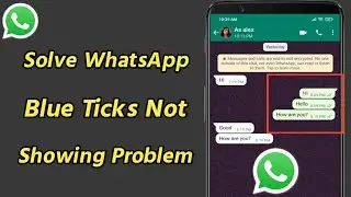 How to Solve WhatsApp Blue Ticks Not Showing Problem | WhatsApp Blue Ticks Problem Solve