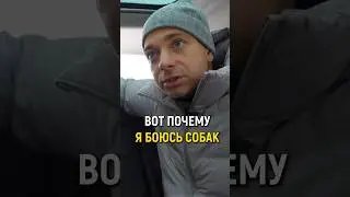 УКУСИЛА БРОДЯЧАЯ СОБАКА НА СЪЕМКАХ! 